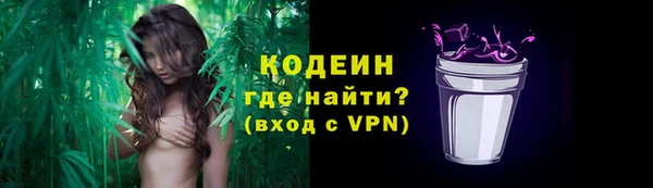 стаф Володарск