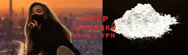 стаф Володарск