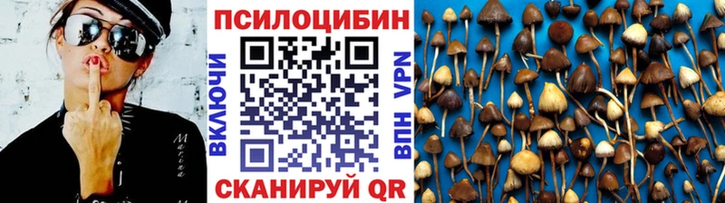 цены   Вятские Поляны  Псилоцибиновые грибы GOLDEN TEACHER 