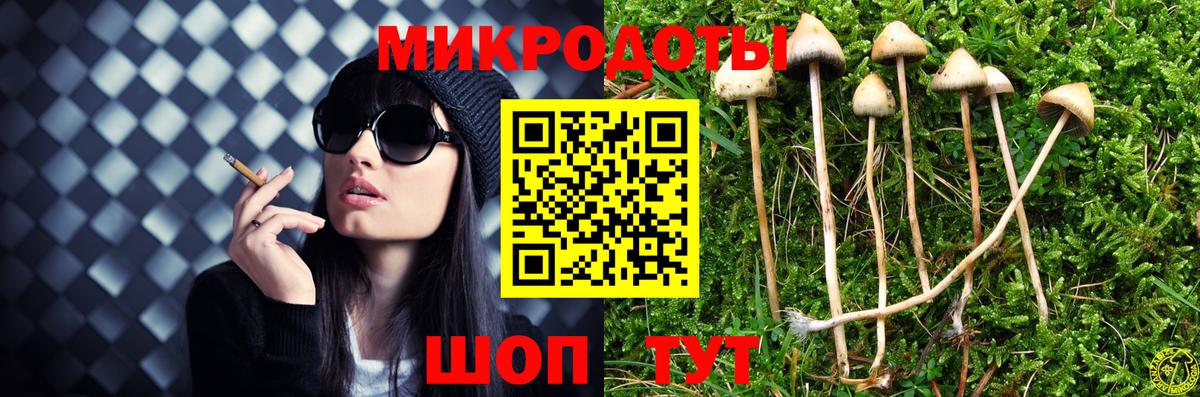 Псилоцибиновые грибы мицелий Вятские Поляны