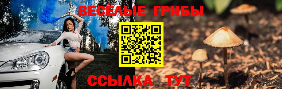 Псилоцибиновые грибы GOLDEN TEACHER  Вятские Поляны  цена наркотик  Псилоцибиновые грибы мицелий 