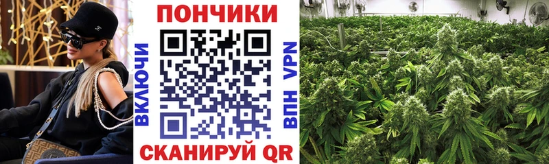 закладка Вятские Поляны Шишки марихуана SATIVA & INDICA