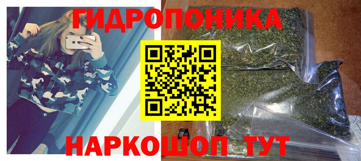 Марихуана планчик  Каннабис индика  Вятские Поляны 